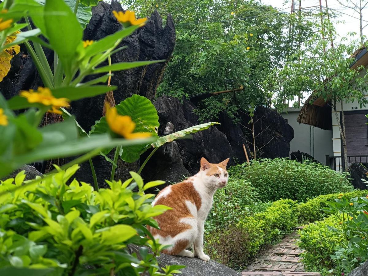 Hotel Wings Ha Giang Loop Bungalow Esterno foto